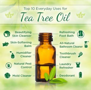 tea tree oil benefits